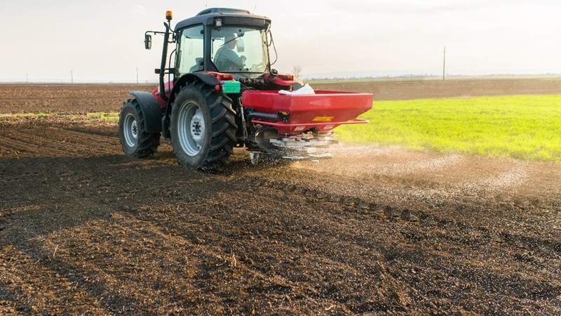 Finale aanplantings- en oesproduksiesyfers bekendgemaak | News Article