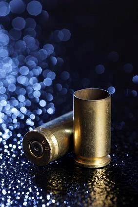Firearm suspects in FS court | News Article