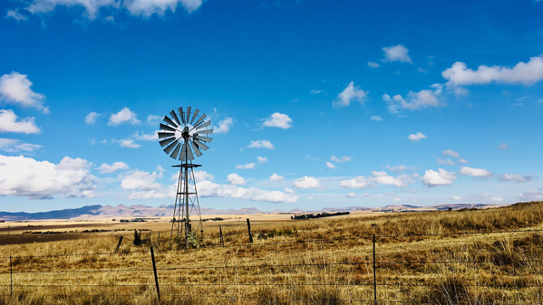 #OFMBusinessHour: Discover the Free State - Lion Route | News Article