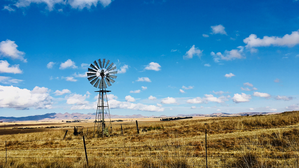 #OFMBusinessHour: Discover the Free State - Lion Route #OFMBusinessHour: Discover the Free State - Lion Route | News Article