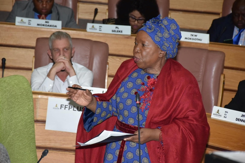 ‘Switch off power if provincial departments don’t pay’ - minister Dlamini-Zuma | News Article
