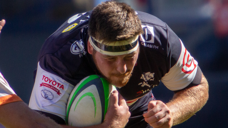Sharks head to Bloemfontein with confidence Sharks head to Bloemfontein with confidence | News Article