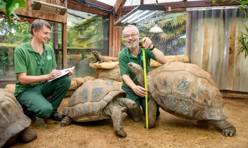 Zoo faces challenge of rehoming 25 000 animals - Vimarsana News