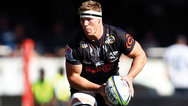 Venter to lead Sharks against Cardiff Venter to lead Sharks against Cardiff | News Article