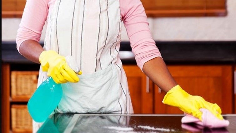 Government warns households employing domestic workers Government warns households employing domestic workers | News Article
