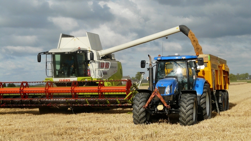 Agri-uur: Jongste Safex-nuus | News Article