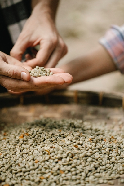 Agri-uur: Jongste Safex-nuus | News Article