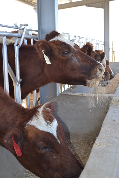 What’s new in Farmer’s Weekly? | News Article