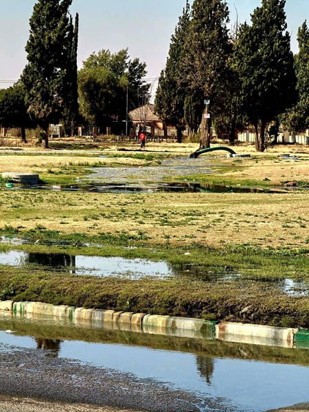 Rioolkrisis in Welkom steeds ’n kopseer | News Article