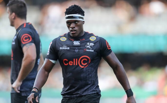 Champions Cup: Sharks remain upbeat despite injuries | News Article
