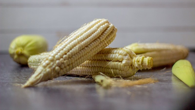 Agri-uur: Jongste Safex-nuus Agri-uur: Jongste Safex-nuus | News Article