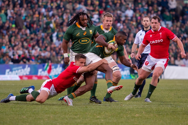We let this phenomenal crowd down - Nienaber | News Article