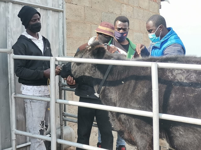 FS farmers receive risk management equipment to help combat #StockTheft | News Article