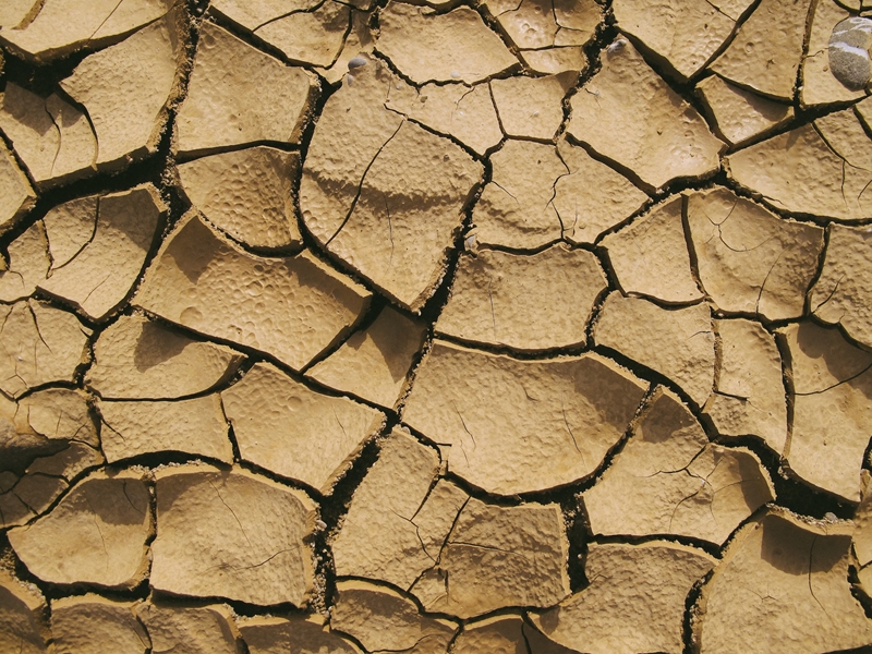 What’s new in Farmer’s Weekly? | News Article