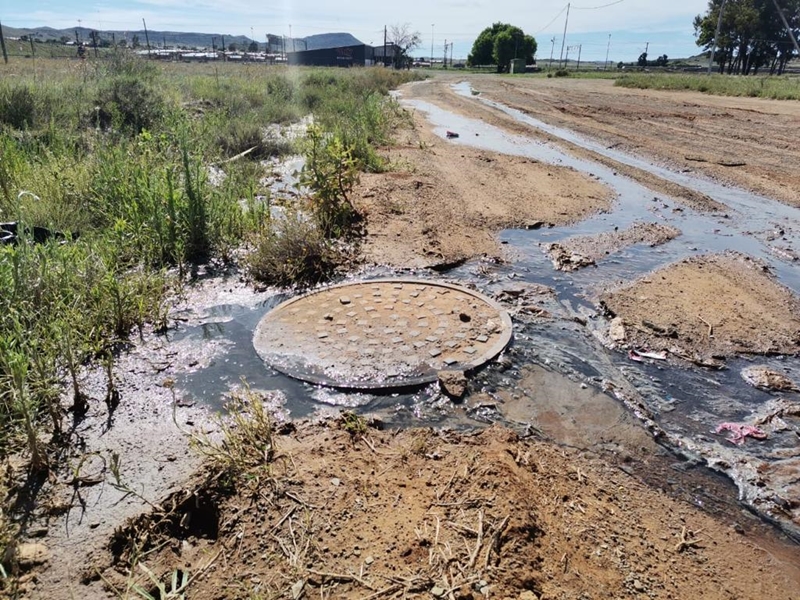 Leë beloftes terwyl rioolvuil Vrystaatse huise oorstroom | News Article