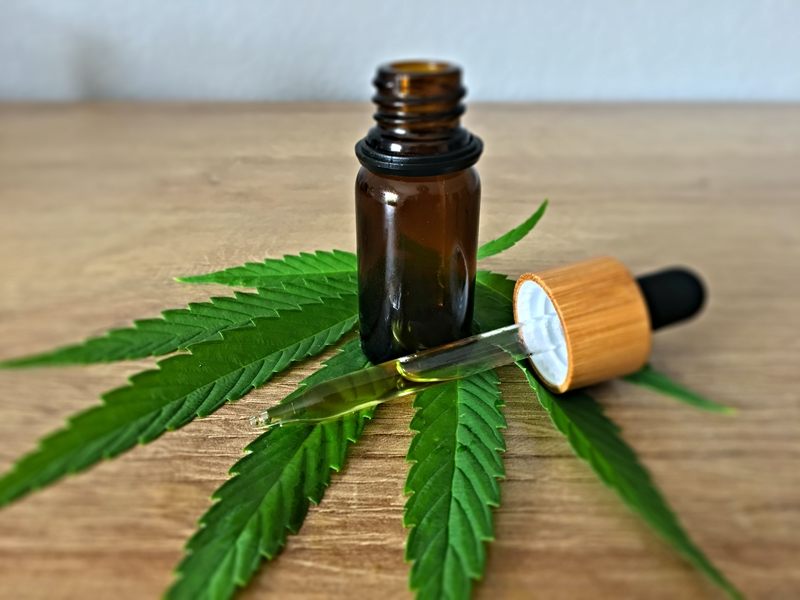 Trials to test cannabis as alternative pain medication | News Article