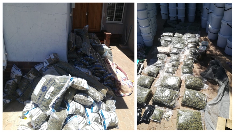 Polisie in Noord-Kaap vang dwelmsmous, vind 300 kg dagga | News Article