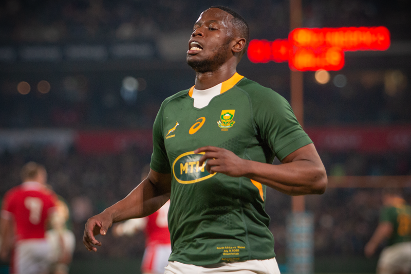 Boks squad announcement delayed | News Article