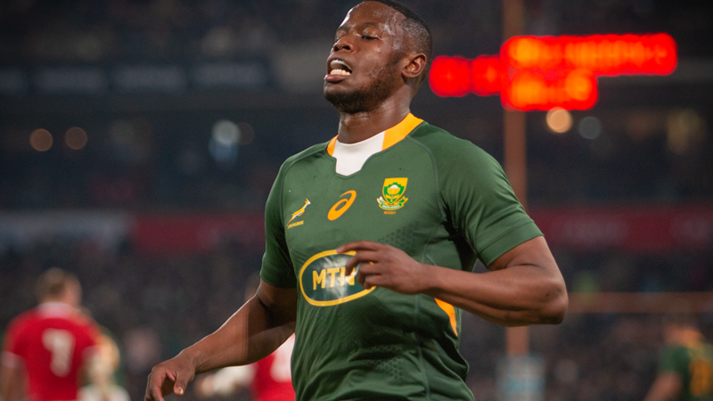 Boks squad announcement delayed | News Article