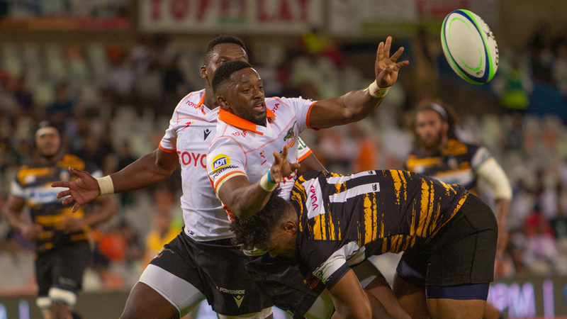 Cheetahs beat determined Boland Cheetahs beat determined Boland | News Article