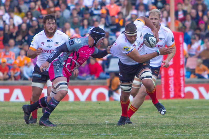 Cheetahs at near full strength for first Force game | News Article