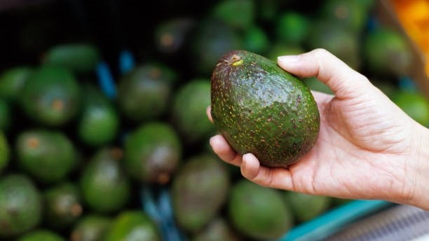 SA avo’s in China: Nuwe handelsmoontlikhede vir produsente | News Article