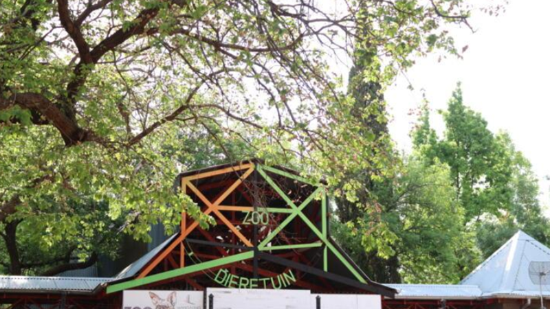 Meer as R20 miljoen vir Bloemfontein-dieretuin begroot   | News Article
