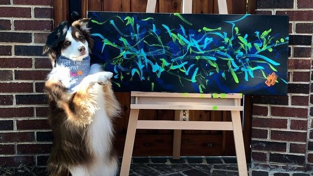 Weird Wide Web - Pawesome Paintings. | News Article