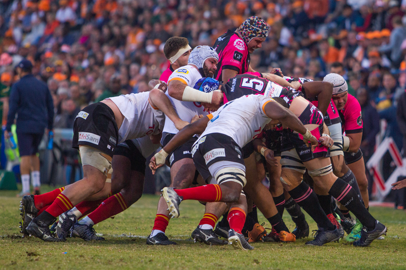 Cheetahs set to face the Western Force | News Article