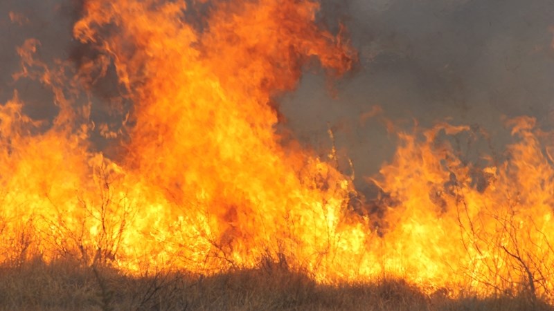 Agri podcast: High veld fire conditions in NC, NW and FS | News Article