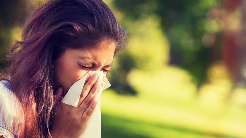 Pollen monitoring can help keep allergies in check Pollen monitoring can help keep allergies in check | News Article