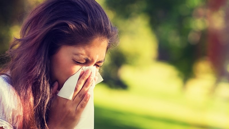 Pollen monitoring can help keep allergies in check | News Article