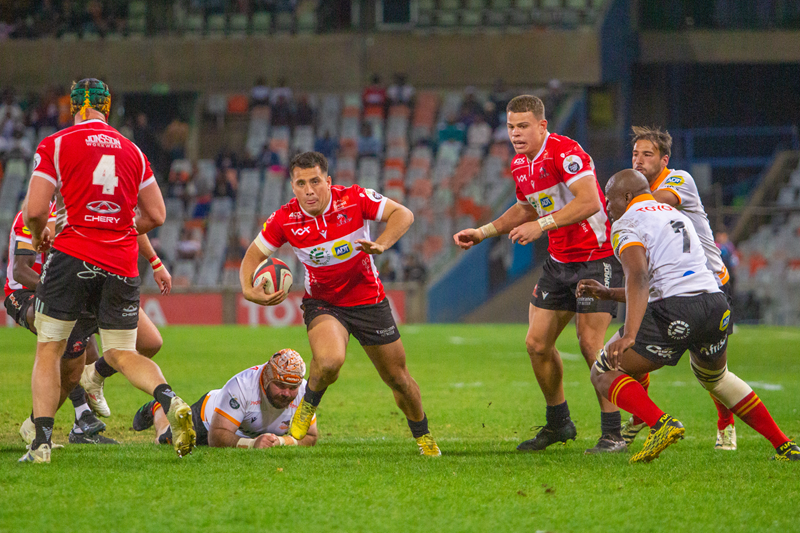 Lions wary of dangerous Cheetahs | News Article