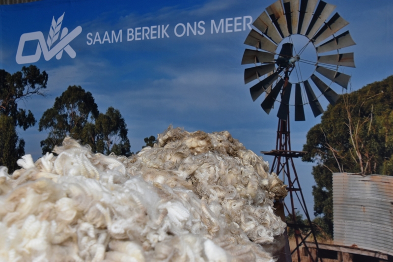 Byna 100% van wol op vandeesweek se veiling verkoop | News Article