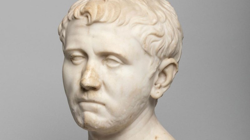 Ancient Roman bust bought from Texas Goodwill for $34.99 Ancient Roman bust bought from Texas Goodwill for $34.99 | News Article