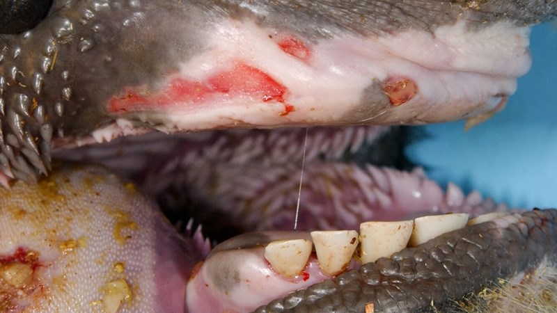 TLU-SA glo nie beloftes van SONA | News Article