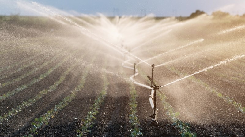 Produsente moet hul vergewis van beoogte waterwetwysigings Produsente moet hul vergewis van beoogte waterwetwysigings | News Article