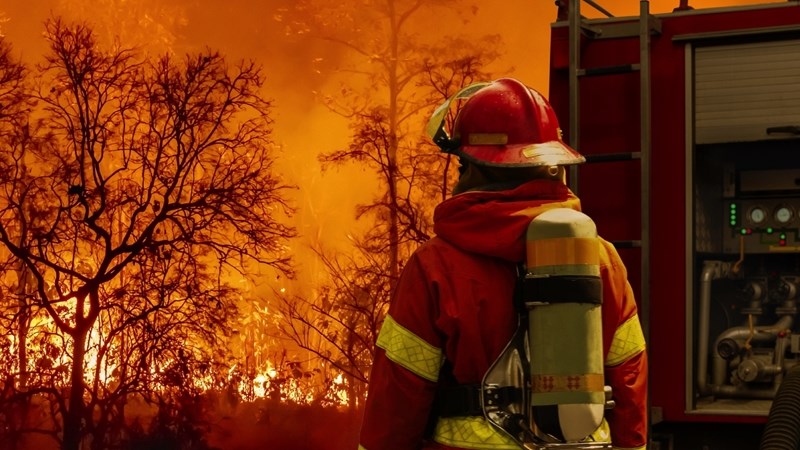 Nuwe Nasionale Veld- en Bosbrandwysigingswet in neutedop | News Article