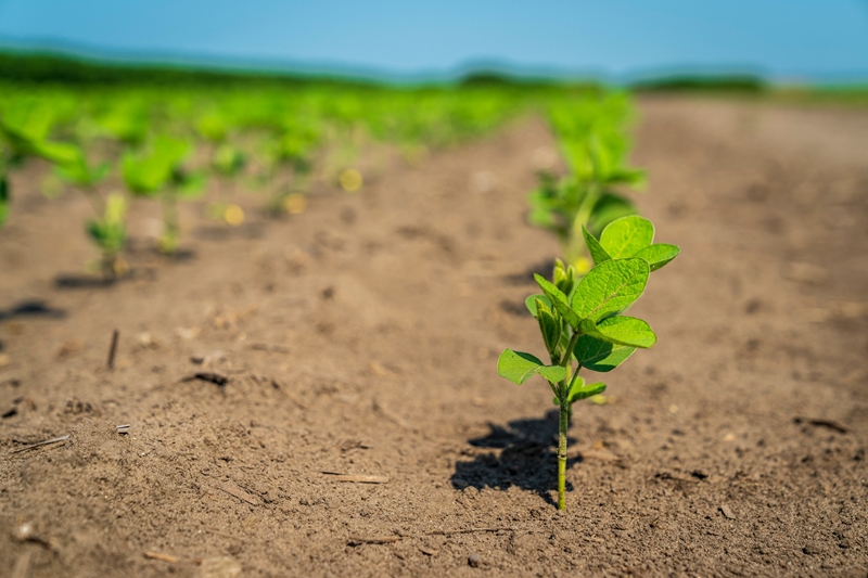 Wat is nuut in Farmer's Weekly? | News Article