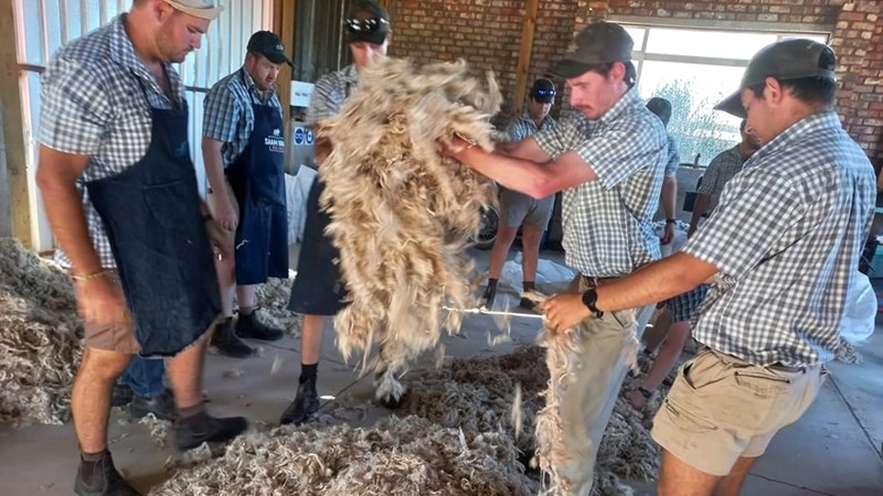 Wolseisoen sluit met duisende bale af Wolseisoen sluit met duisende bale af | News Article