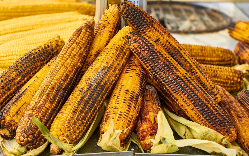 Agri-uur: Jongste Safex-nuus | News Article