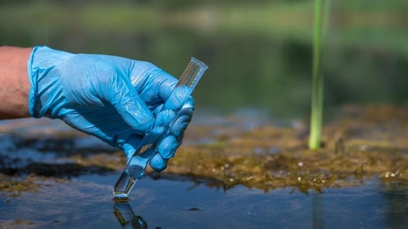 Cholera in nóg plekke in Vrystaat en Noord-Kaap gevind Cholera in nóg plekke in Vrystaat en Noord-Kaap gevind | News Article