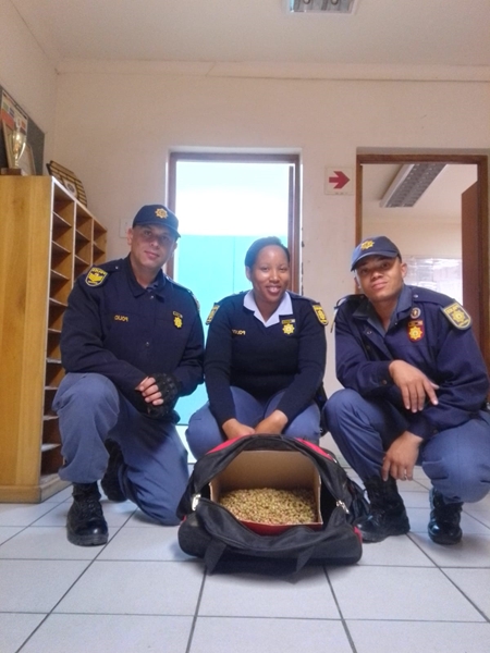 Poacher arrested with endangered succulents in Northern Cape | OFM
