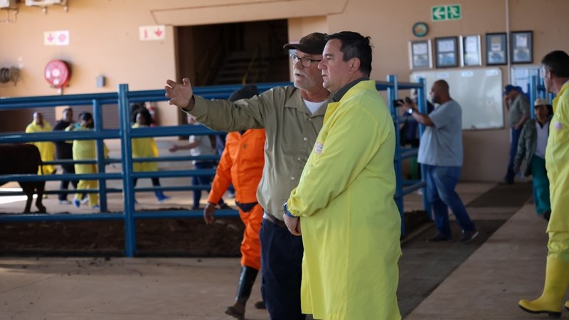 Foot-and-Mouth fight intensifies: Historic feedlot vaccination drive starts Foot-and-Mouth fight intensifies: Historic feedlot vaccination drive starts | News Article