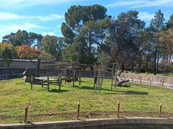 ‘People of Mangaung deserve answers about millions for zoo’ | News Article
