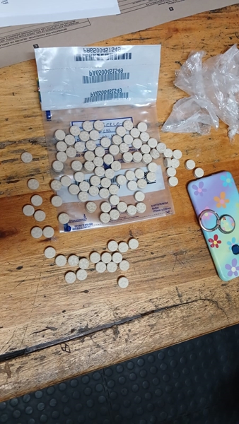 Vermeende mandraxsmouse in Noord-Kaap in aanhouding | News Article