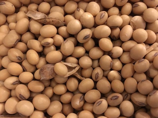 Agri-Uur: Jongste Safex-nuus | News Article