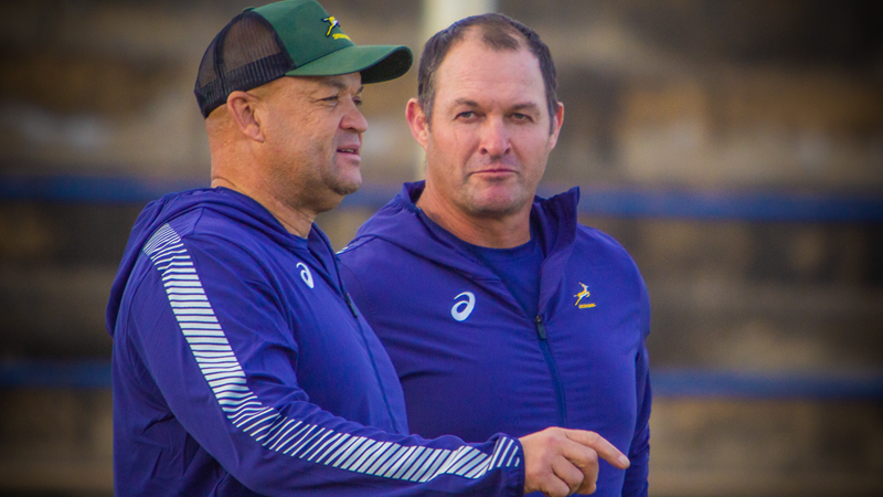 Springbok coaches renew contracts for four years | News Article