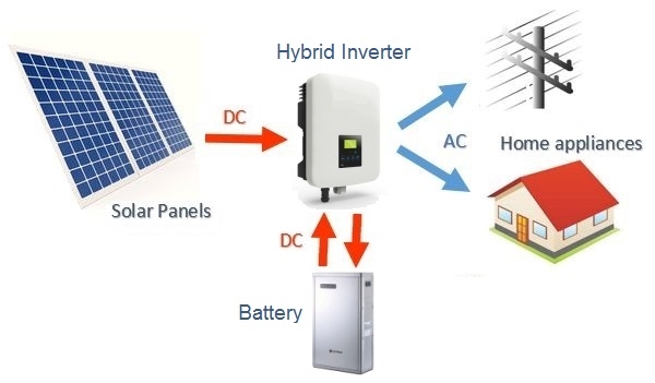 Call-A-Guy: Joe Steyn talks solar energy | News Article