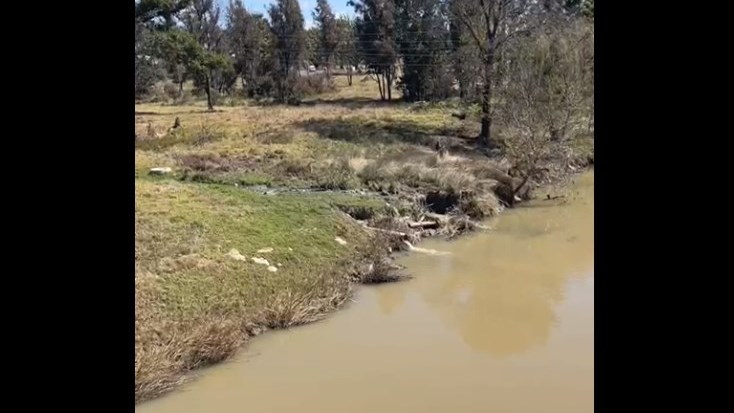 #VaalRiverPollution: Raw sewage 'dumped' into river #VaalRiverPollution: Raw sewage 'dumped' into river | News Article